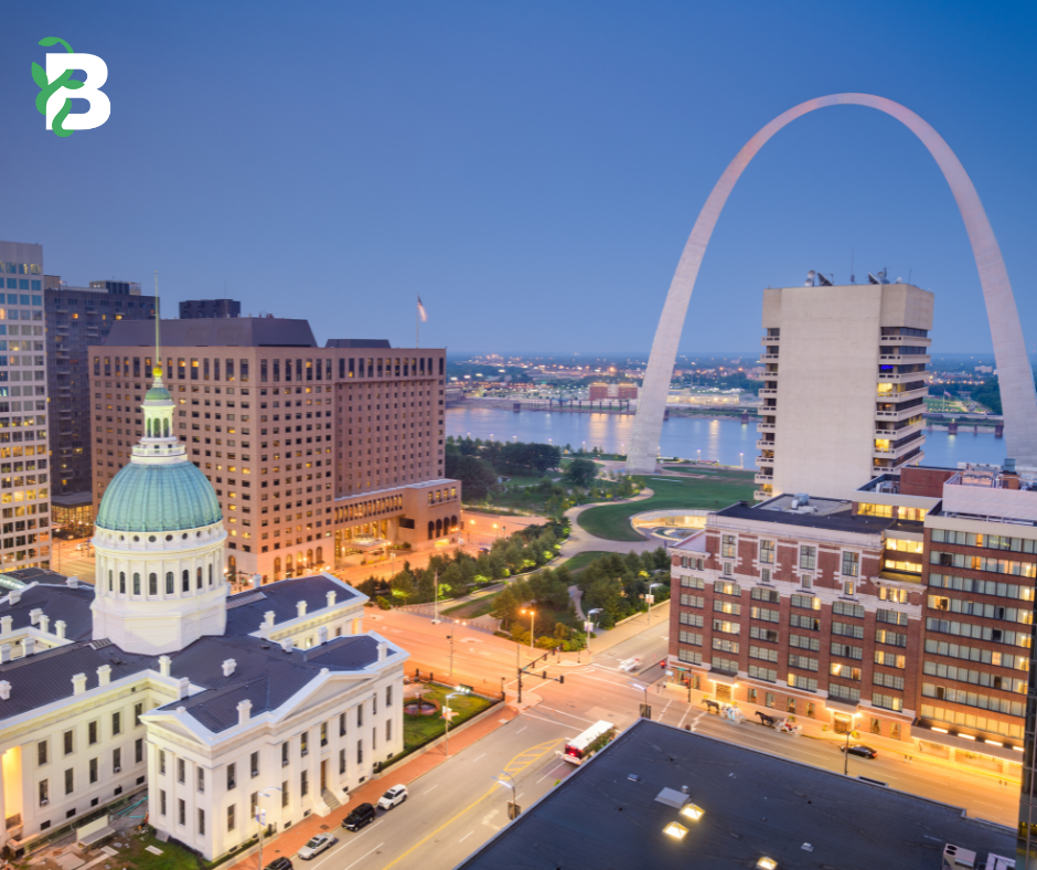 St. Louis WordPress Web Design: Tailor Your Website for St. Louis Businesses